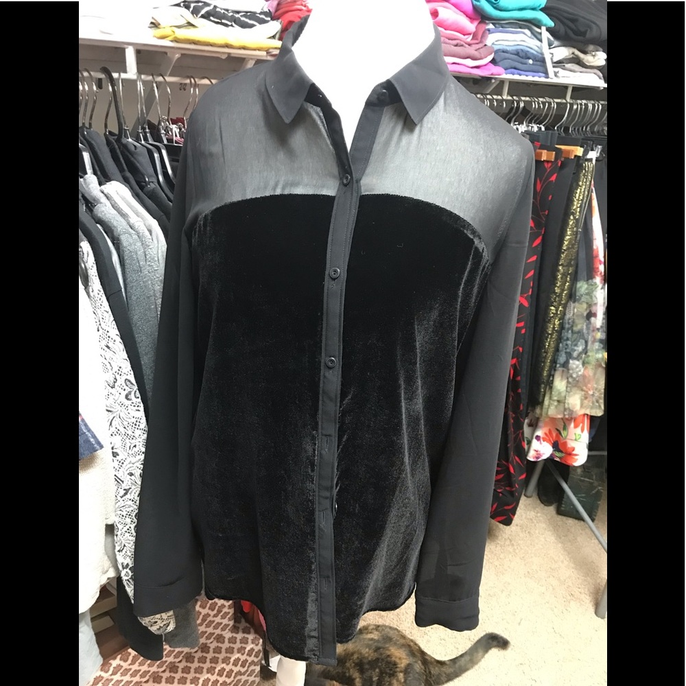 Hinge Blouse